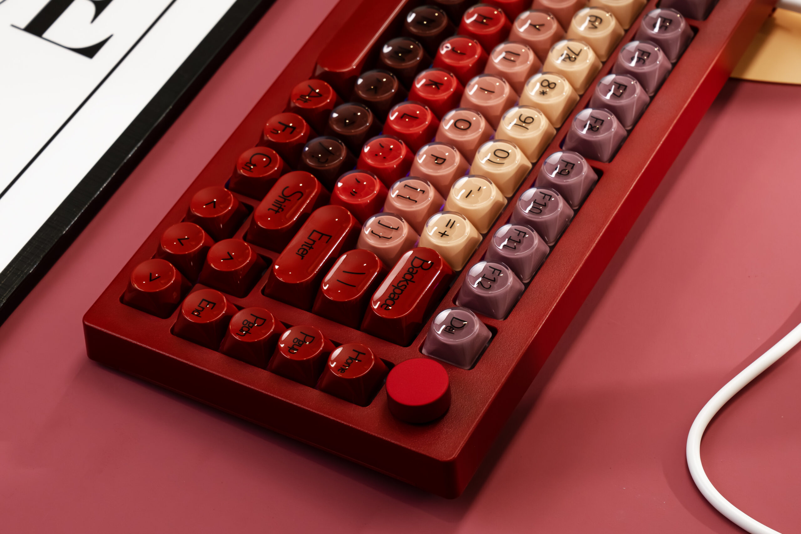 DSC08789-已增强-NR 拷贝