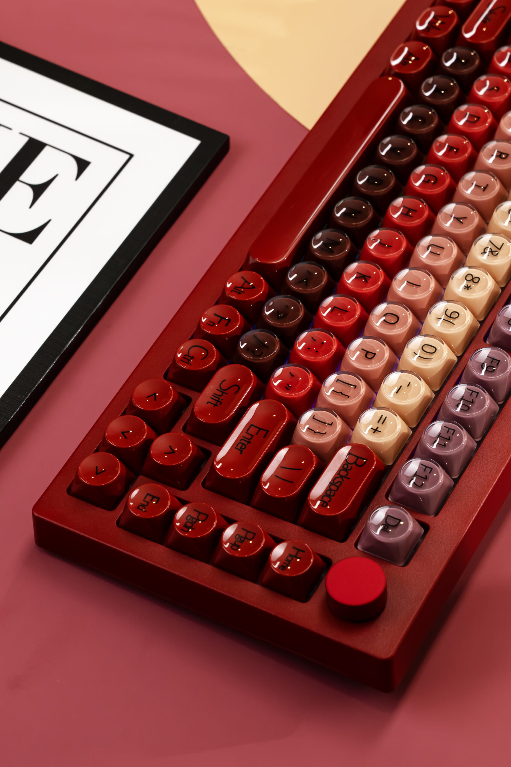 DSC08790-已增强-NR 拷贝