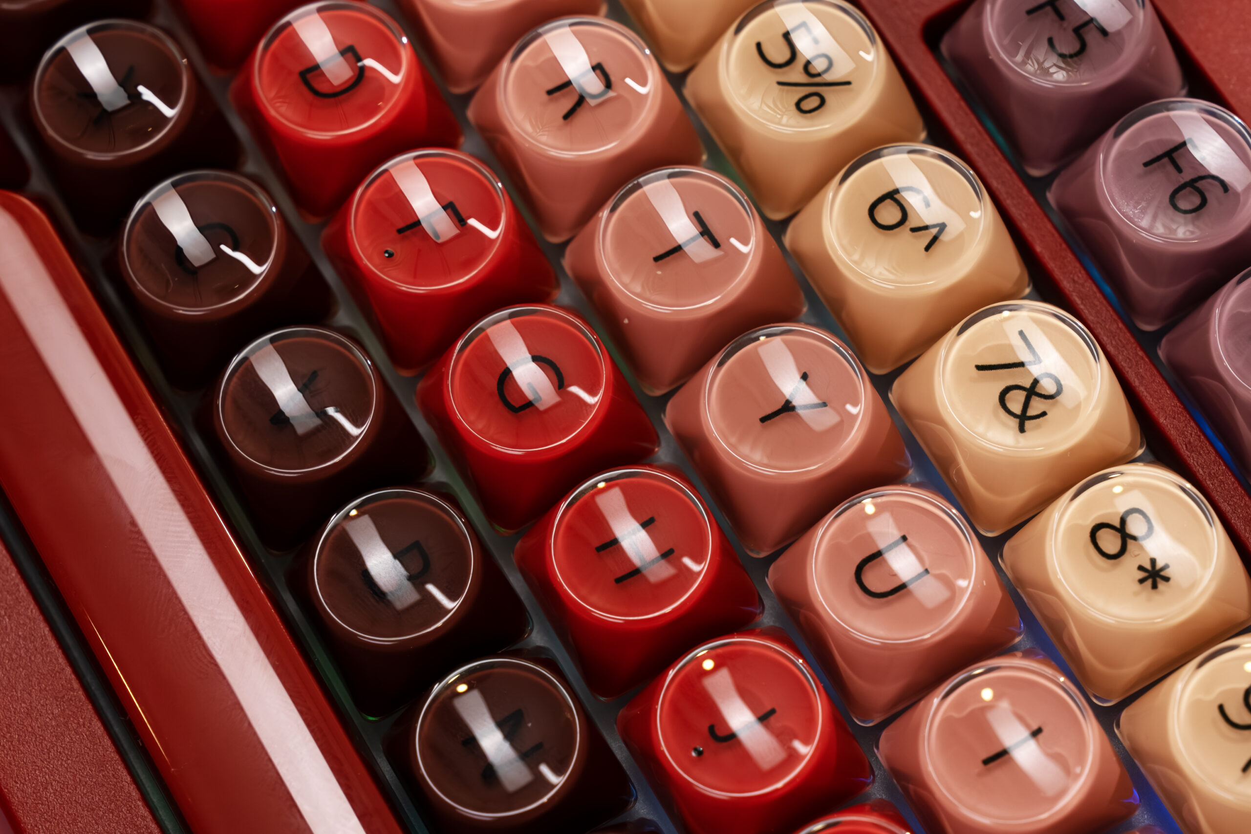 DSC08795-已增强-NR 拷贝