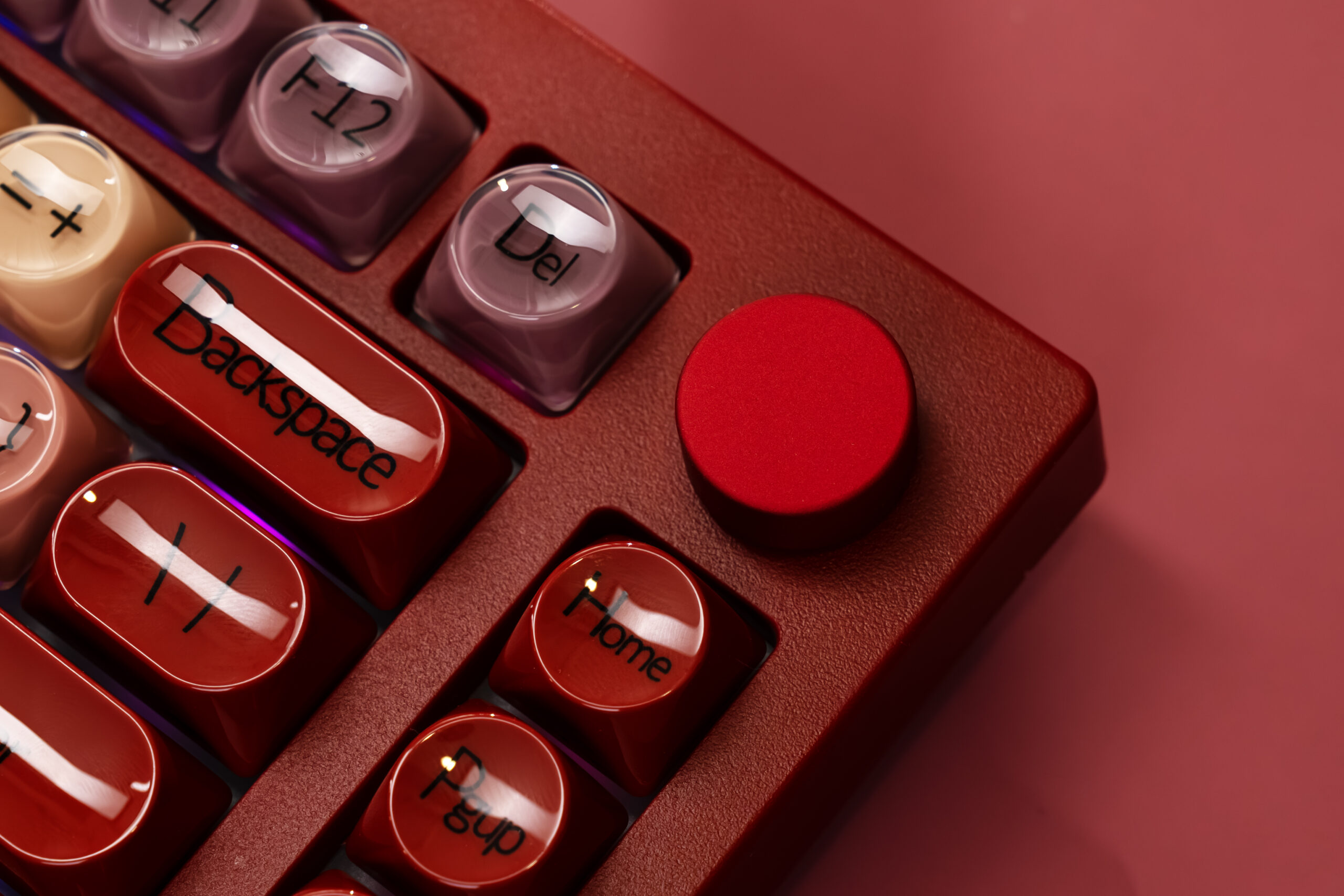 DSC08796-已增强-NR 拷贝