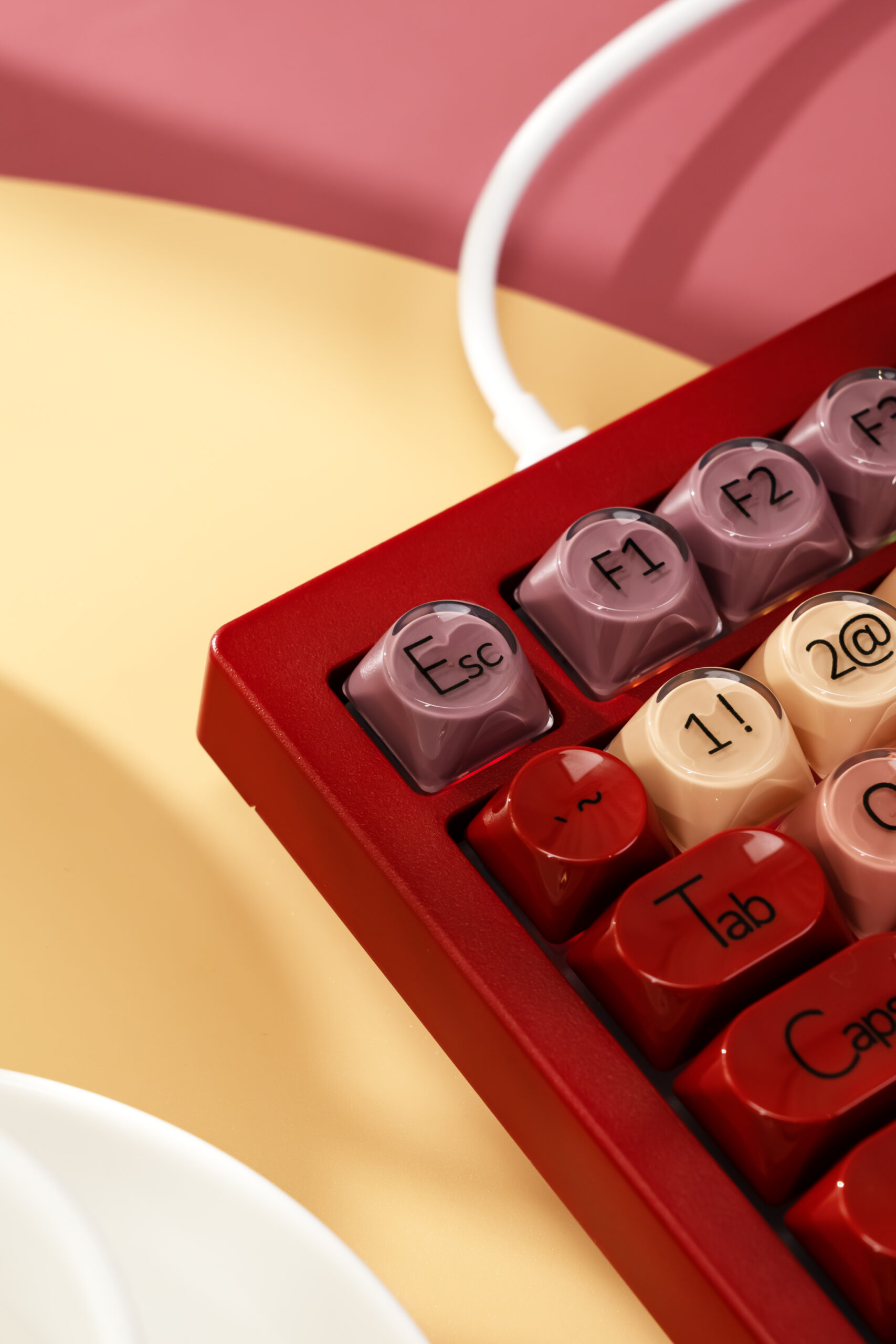 DSC08806-已增强-NR 拷贝